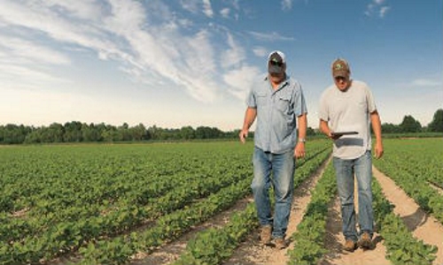 Advanced Farming Systems